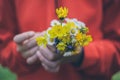 Girl holding flowers. Bouquet of flowers. Springtime background. Bouquet of daisies. Macro view of beautiful white daisies. Royalty Free Stock Photo