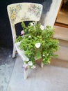 Bouquet of flowers stands on an vintage chair