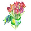 Bouquet of flowers tulips painted in watercolor bandaged with a ribbon