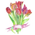 Bouquet of flowers tulips painted in watercolor bandaged with a ribbon