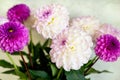 bouquet of flowers in a vase. Beautiful white and purple dahlia flower bouquet