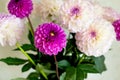 bouquet of flowers in a vase. Beautiful white and purple dahlia flower bouquet