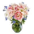 Bouquet of flowers in a vase, tulips and forget-me-not, isolated Royalty Free Stock Photo