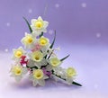 Bouquet of flowers white yellow narcissus, pink hyacinths on violet background with space for text Royalty Free Stock Photo