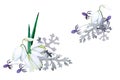 Bouquet with flowers. Yucca and cineraria isolated on white background. Hand drawn watercolor