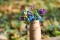 A bouquet of forest flowers. beautiful flowers vase with flowers in nature