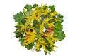 Bouquet of forest leaves of oak and field plants