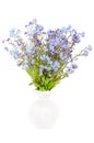 Bouquet of forget-me-not flowers Royalty Free Stock Photo