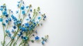 A bouquet of forget-me-not flowers lies on the left on a white minimalistic background