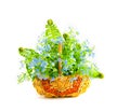 Bouquet of forget-me-nots in a wattled basket