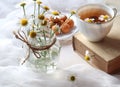 A bouquet of fragrant daisies in a glass vase tied with a tourniquet, a Cup of tea, a book with a Daisy bookmark on a light Royalty Free Stock Photo