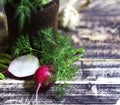 Bouquet of fragrant herbs of fennel and parsley, on a wooden background Royalty Free Stock Photo