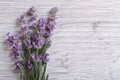 Bouquet of fragrant lavender flowers. floral frame Royalty Free Stock Photo