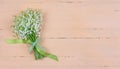 A bouquet of fragrant Lily of the valley flowers with a green and white polka dot bow on a pink wooden background with a copy spac Royalty Free Stock Photo