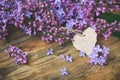 Bouquet fragrant violet lilac, paper tag