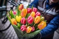 Bouquet of fresh, colorful tulips in the hands of a man from a flower delivery service