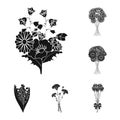 A bouquet of fresh flowers black icons in set collection for design. Various bouquets vector symbol stock web Royalty Free Stock Photo