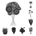 A bouquet of fresh flowers black icons in set collection for design. Various bouquets vector symbol stock web Royalty Free Stock Photo