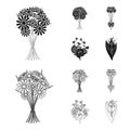 A bouquet of fresh flowers black,outline icons in set collection for design. Various bouquets vector symbol stock web Royalty Free Stock Photo