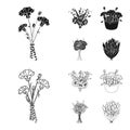 A bouquet of fresh flowers black,outline icons in set collection for design. Various bouquets vector symbol stock web Royalty Free Stock Photo