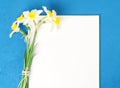 Bouquet of fresh flowers daffodils with blank white paper in blue textured concrete background. Empty space, Top view. Royalty Free Stock Photo
