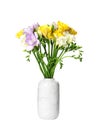 Bouquet of fresh freesia flowers in vase on white