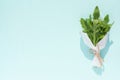 Bouquet of fresh green arugula leaves in white craft paper isolated on a light blue background Royalty Free Stock Photo