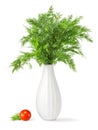 Bouquet of fresh green dill in a vase