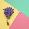 Bouquet of fresh lavender on colorful background. Violet flowers. Greeting floral card with place for text. Top view, copy space Royalty Free Stock Photo