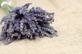 Bouquet of fresh lavender flowers on burlap with selective focus Royalty Free Stock Photo