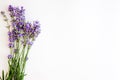 Bouquet of fresh lavender flowers on white background, top view, isolated. Copy space. Flat lay Royalty Free Stock Photo