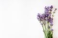 Bouquet of fresh lavender flowers on white background, top view, isolated. Copy space. Flat lay Royalty Free Stock Photo