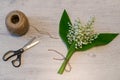 Bouquet of fresh lilies of the valley flowers with skein of twine and scissors on light wooden background. Beautiful spring layout