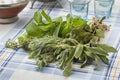 Bouquet of fresh Moroccan herbs