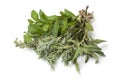 Bouquet of fresh Moroccan herbs