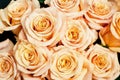 Bouquet of fresh orange coral roses, flower bright background. Closeup. Roses in flower shop Royalty Free Stock Photo