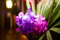 Bouquet with fresh orchidea Royalty Free Stock Photo
