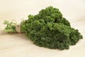 Bouquet of fresh picked curly kale Royalty Free Stock Photo
