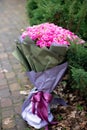 A bouquet of fresh pink roses as a gift to a girl on her birthday, women`s day, mother`s day. Floristics
