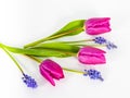 Bouquet of pink tulips and blue flowers in glass vase, isolated on white background. Royalty Free Stock Photo