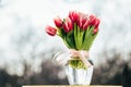 A bouquet of fresh pink tulips in a glass vase outdoors. Bunch of flowers Royalty Free Stock Photo