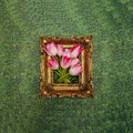 A bouquet of fresh pink and white tulips in a vintage golden frame on a background of grass.