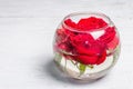 Bouquet of fresh red roses in glass vase Royalty Free Stock Photo