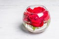 Bouquet of fresh red roses in glass vase Royalty Free Stock Photo