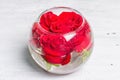 Bouquet of fresh red roses in glass vase Royalty Free Stock Photo