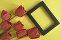 Bouquet of fresh red tulips and black wooden frame on yellow background. Top view, mock up. Close-up. Copy space. Royalty Free Stock Photo