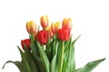 Bouquet of fresh red and yellow-orange tulips isolated on white background. Composition with colorful spring flowers. Copy space Royalty Free Stock Photo