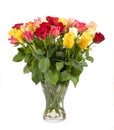 Bouquet of fresh roses in glass vase isolated on white background Royalty Free Stock Photo