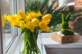 Bouquet of fresh spring tulips and daffodils flowers on the windowsill with Easter bunny rabbit in straw basket with Royalty Free Stock Photo
