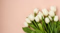 Bouquet of fresh spring white tulips on a light pastel background, Copy space, horizontal orientation Royalty Free Stock Photo